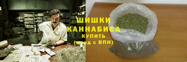 винт Лагань