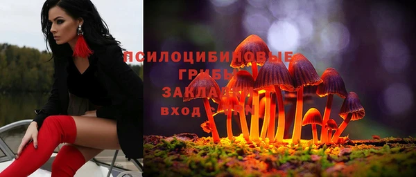 винт Лагань