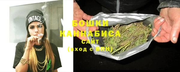 винт Лагань