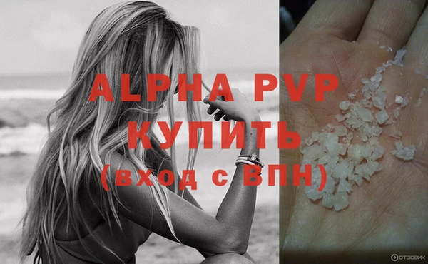 винт Лагань
