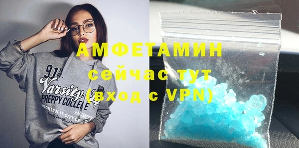 винт Лагань
