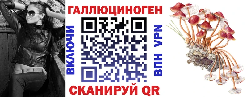 Псилоцибиновые грибы Cubensis  Купить закладки  Ишим 